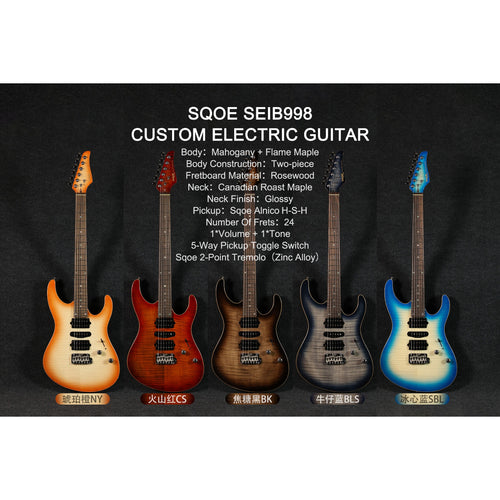 Đàn Guitar Điện Sqoe SEIB998