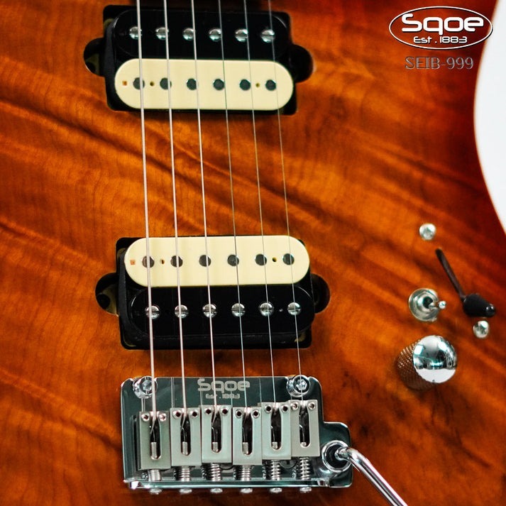 Đàn Guitar Điện Sqoe SEIB999