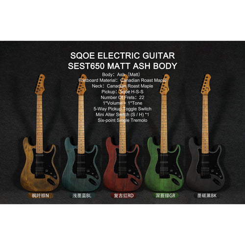 Đàn Guitar Điện Sqoe SEST650 Matt Ash