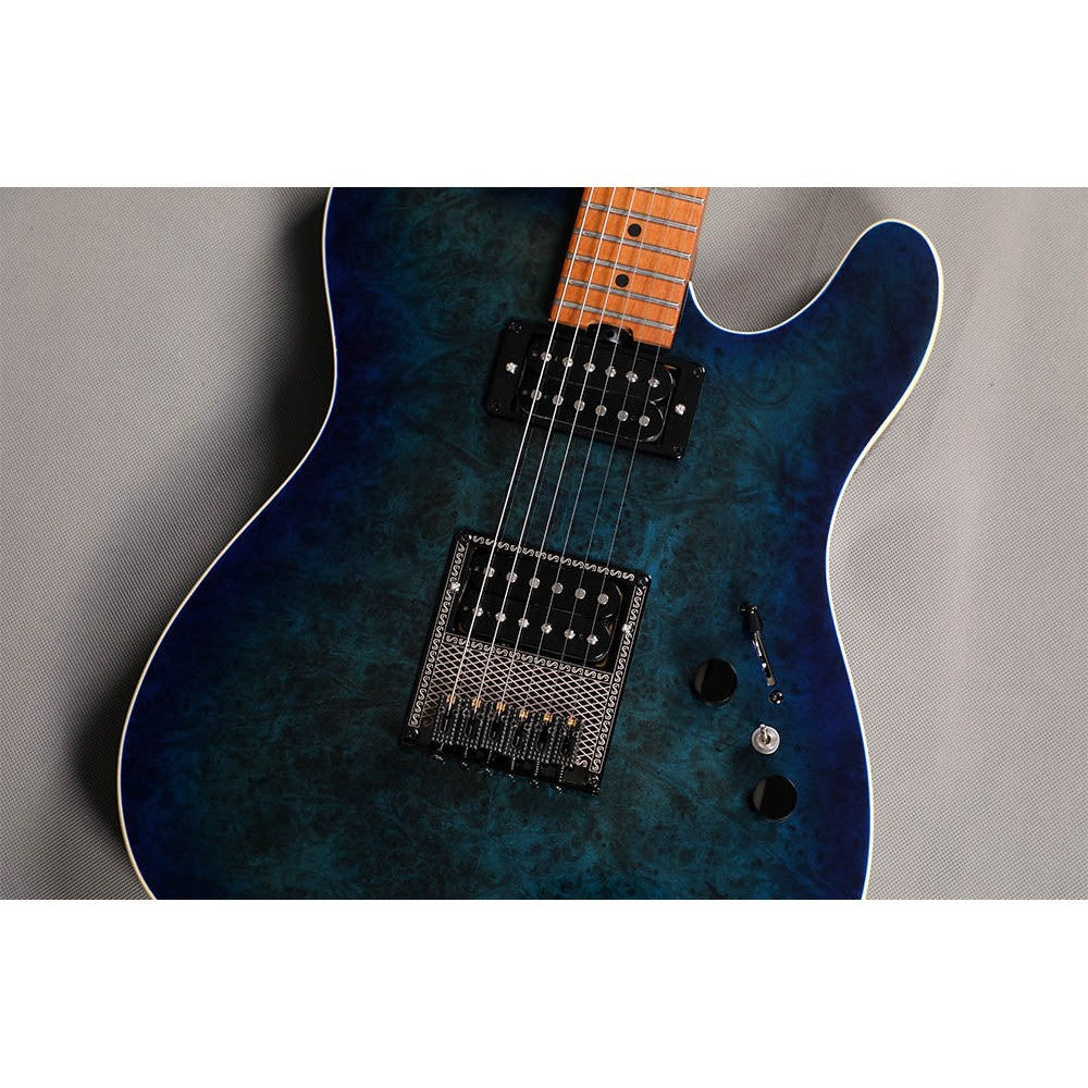 Đàn Guitar Điện Sqoe Telecaster SETL650, Dark Night Blue