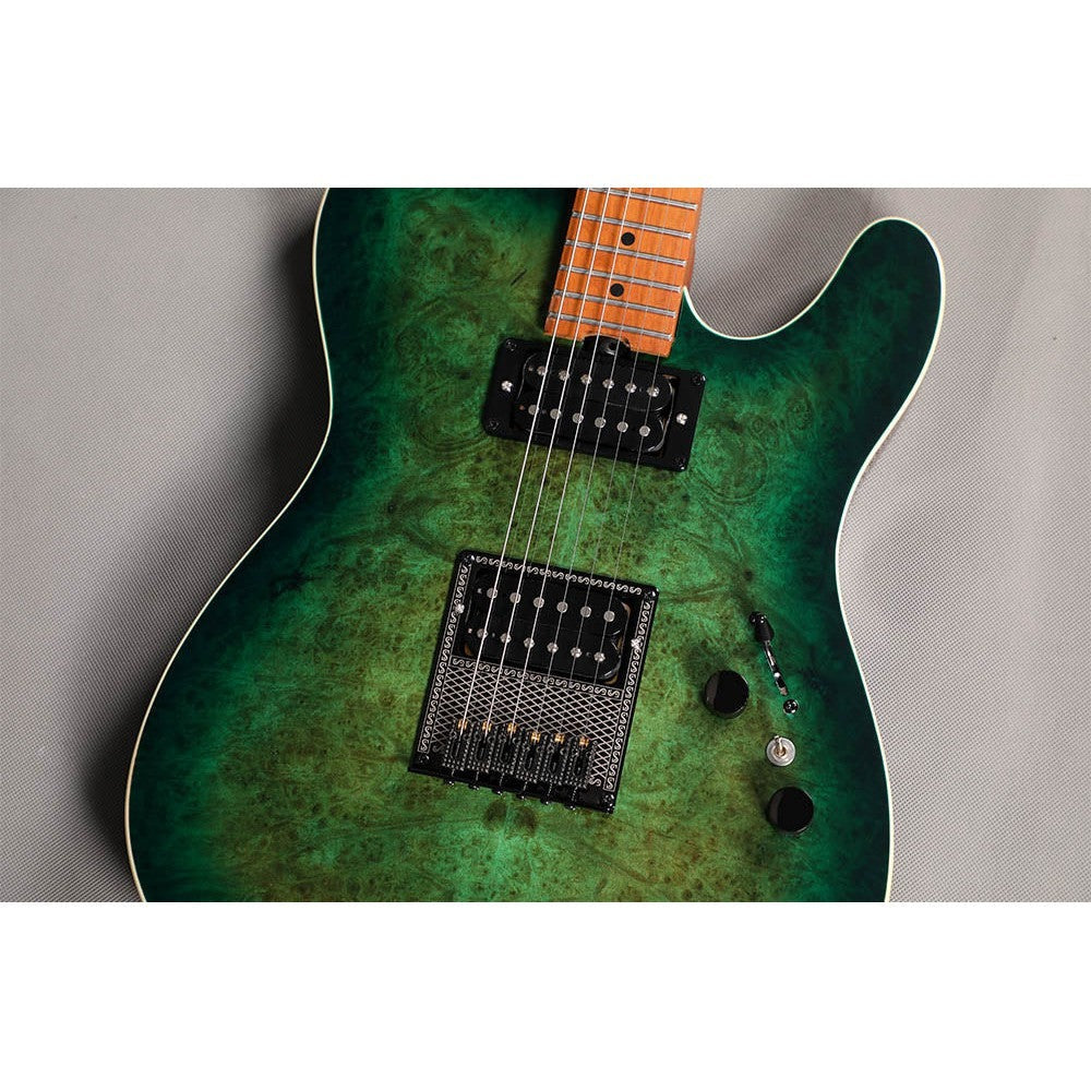 Đàn Guitar Điện Sqoe Telecaster SETL650, Green Forest