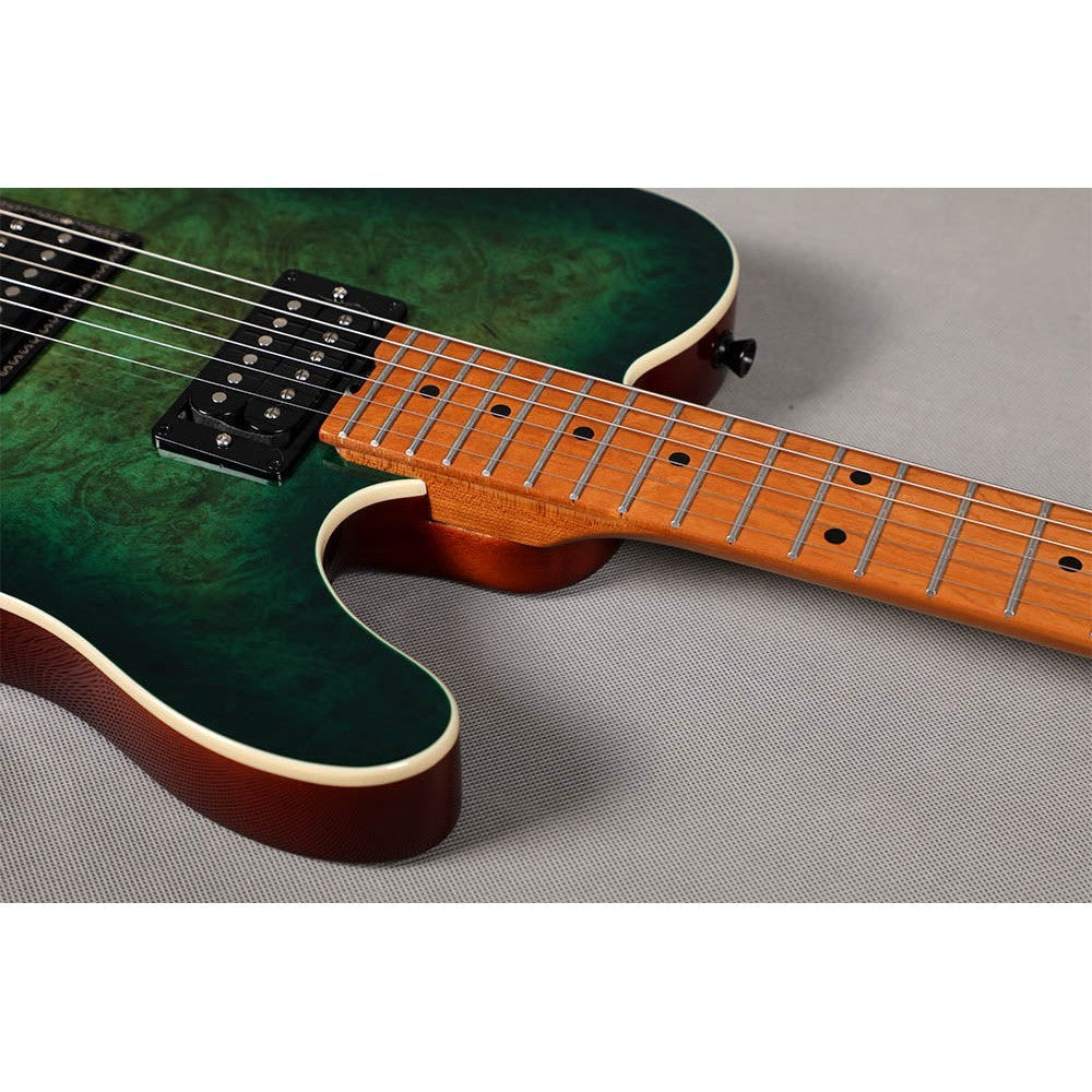 Đàn Guitar Điện Sqoe Telecaster SETL650, Green Forest