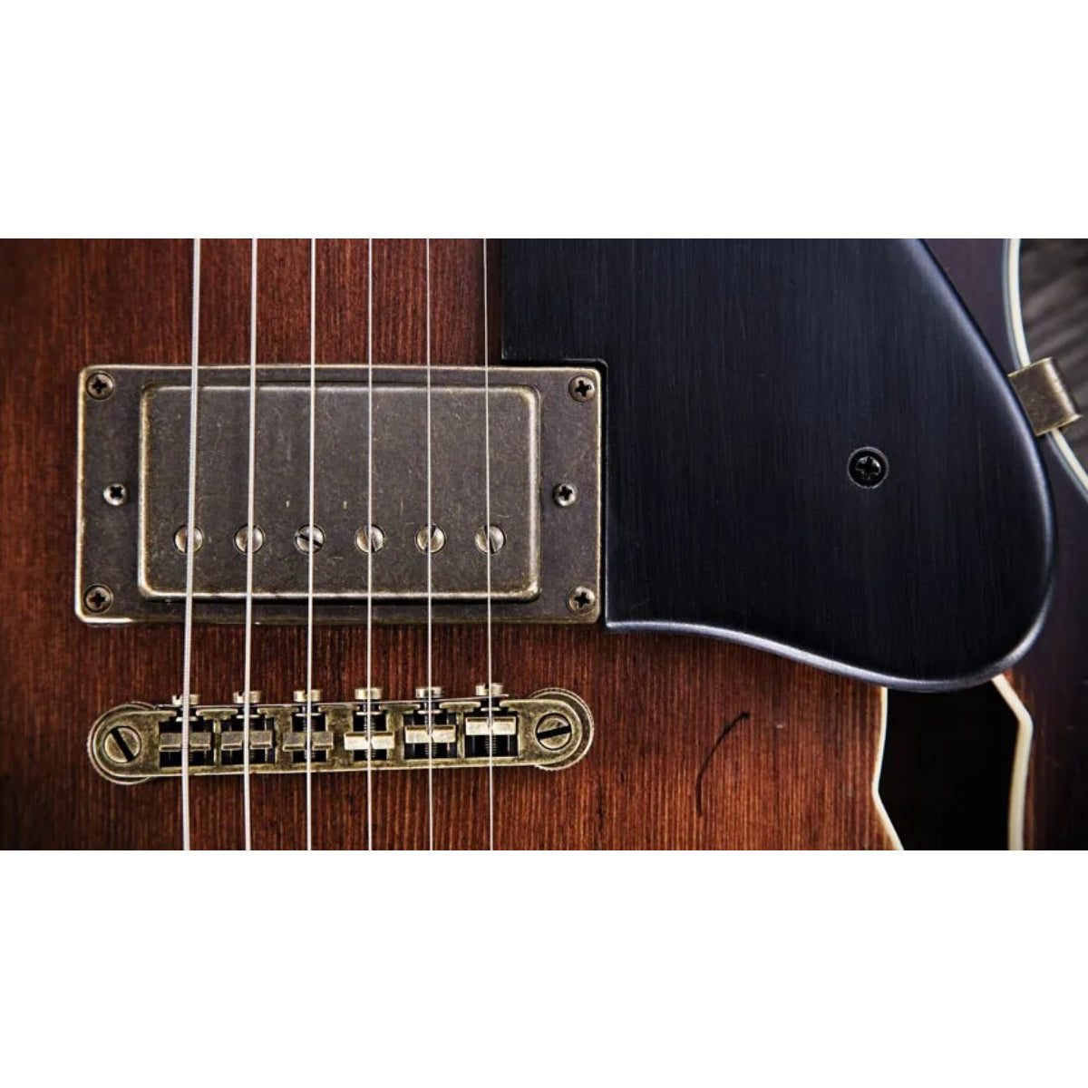 Đàn Guitar Điện Washburn HB36
