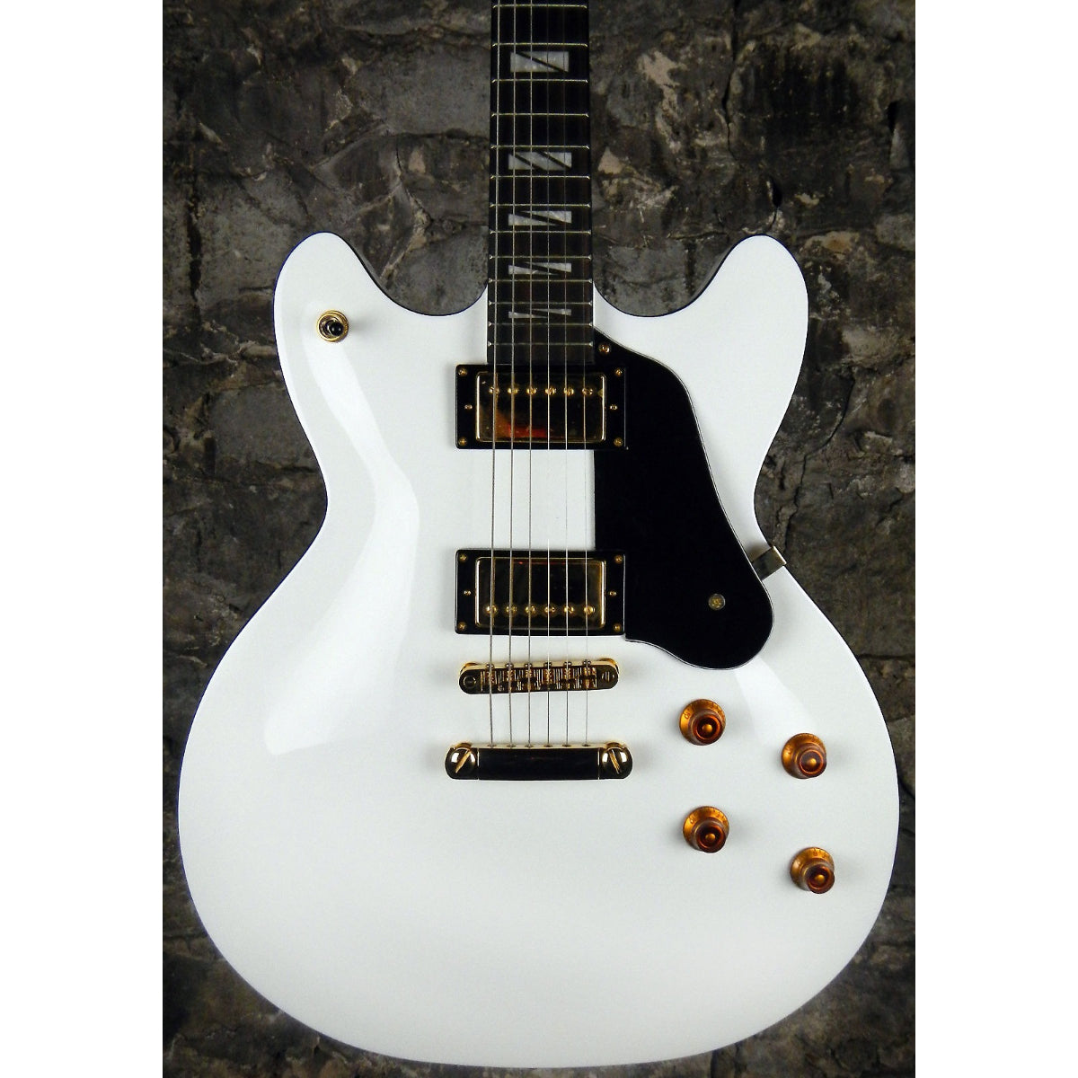 Đàn Guitar Điện Washburn HB45 Hollow Body Guitar