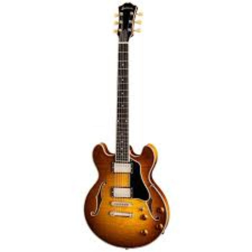 Đàn Guitar Điện Eastman Truetone Gloss T484 GB | Goldburst