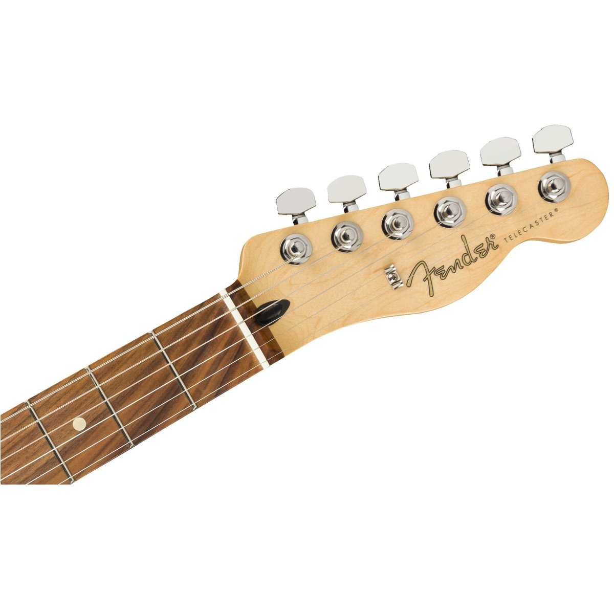 Đàn Guitar Điện Fender Player Telecaster, Pau Ferro Fingerboard, Polar White, #0145213515