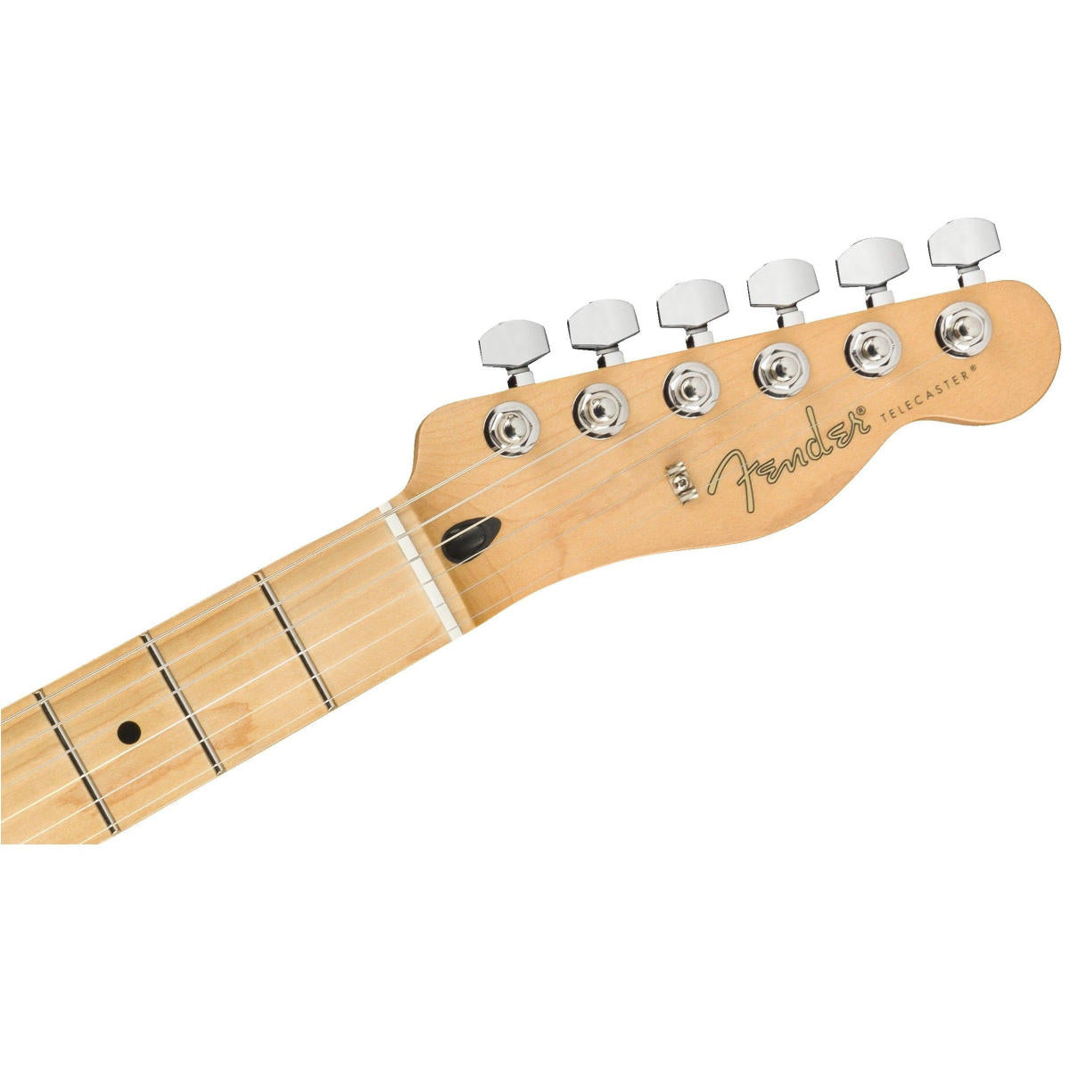 Đàn Guitar Điện Fender Player Telecaster, Maple Fingerboard, Tidepool, #0145212513
