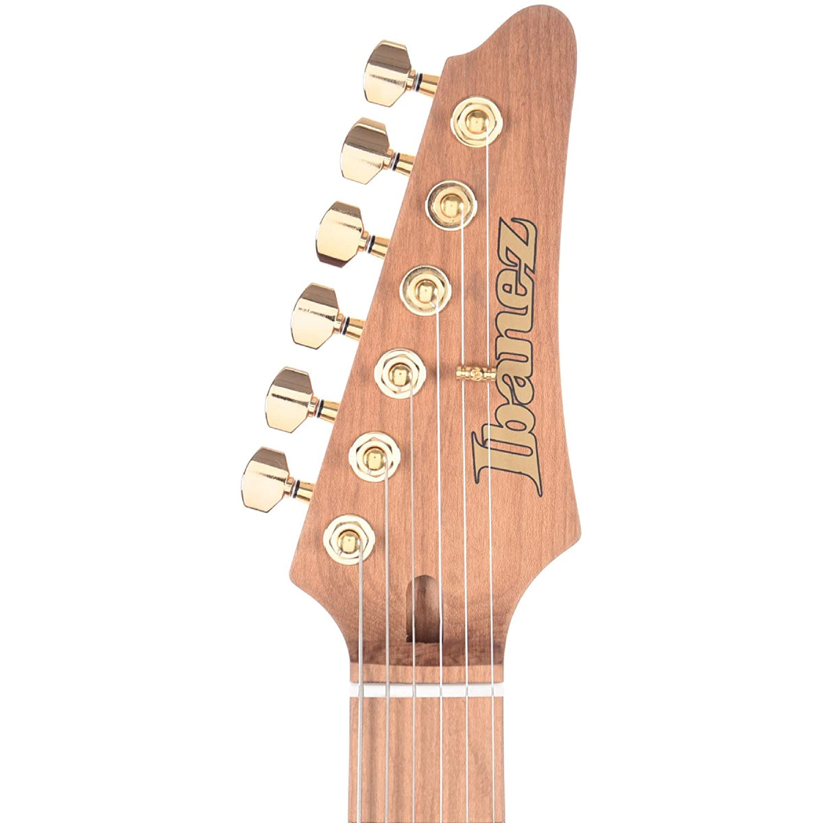 Đàn Guitar Điện Ibanez Premium AZ224BCG