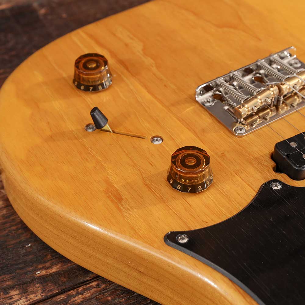 Đàn Guitar Điện PRS Myles Kennedy Signature