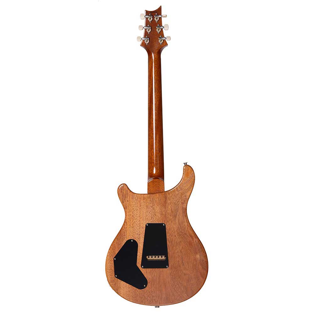 Đàn Guitar Điện PRS DGT David Grissom Tremolo Signature