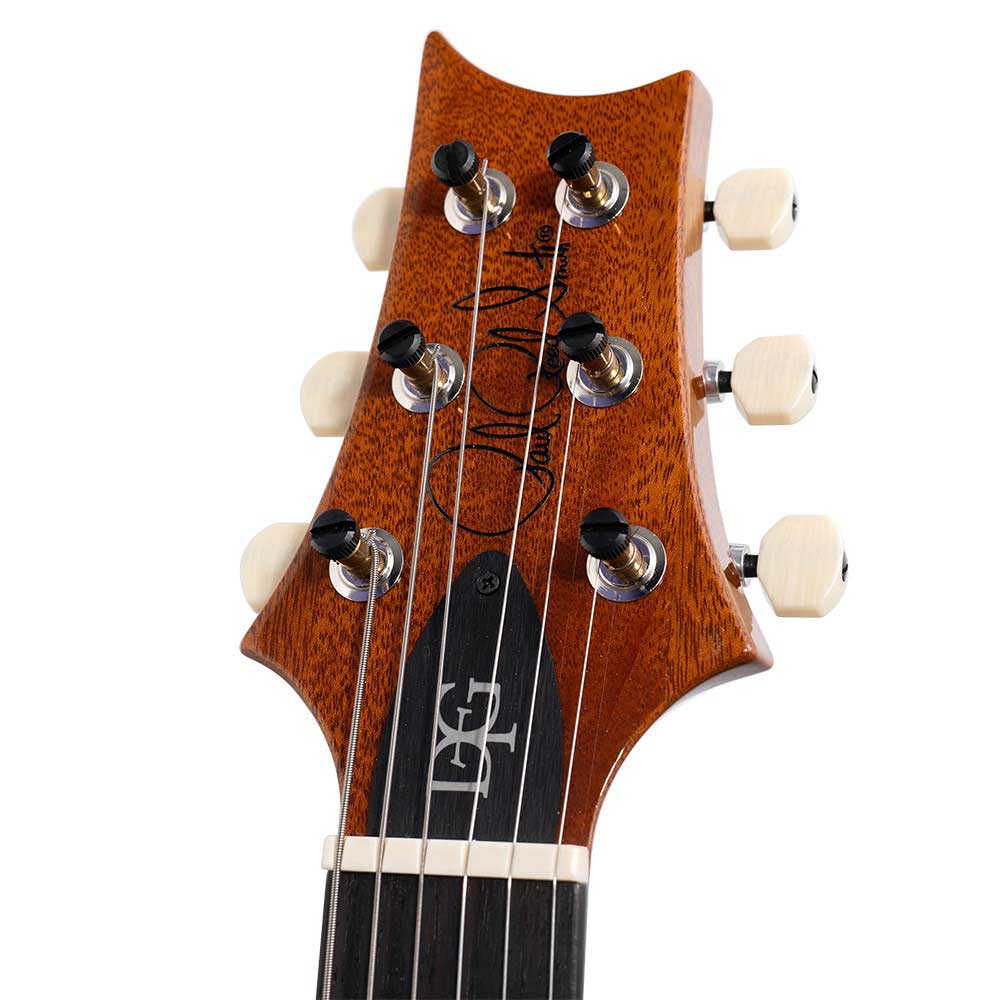 Đàn Guitar Điện PRS DGT David Grissom Tremolo Signature