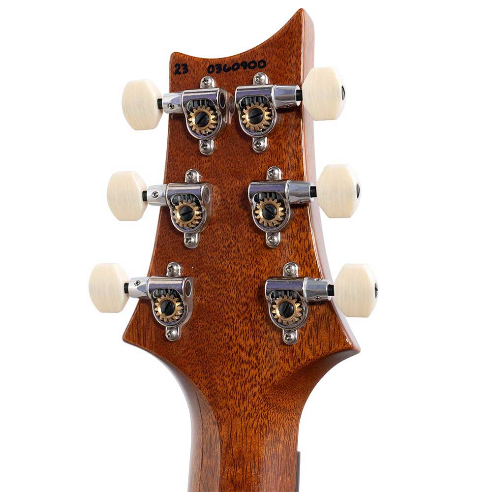 Đàn Guitar Điện PRS DGT David Grissom Tremolo Signature