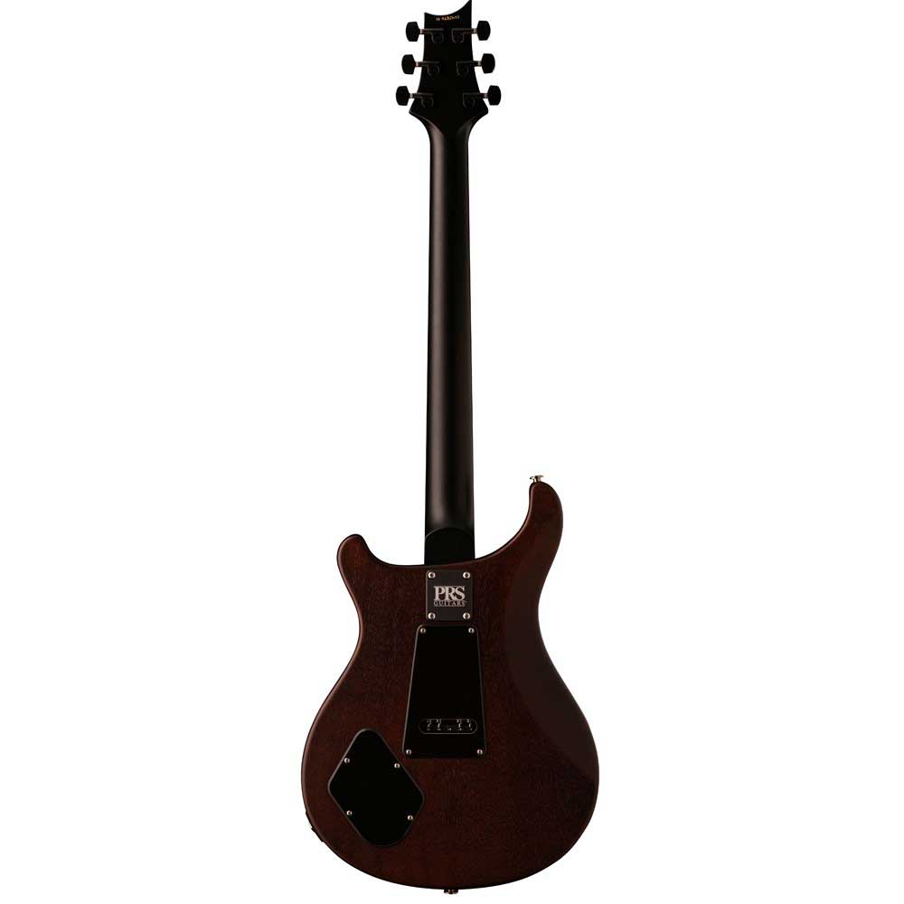 Đàn Guitar Điện PRS Dustie Waring CE24 Floyd w/Bag