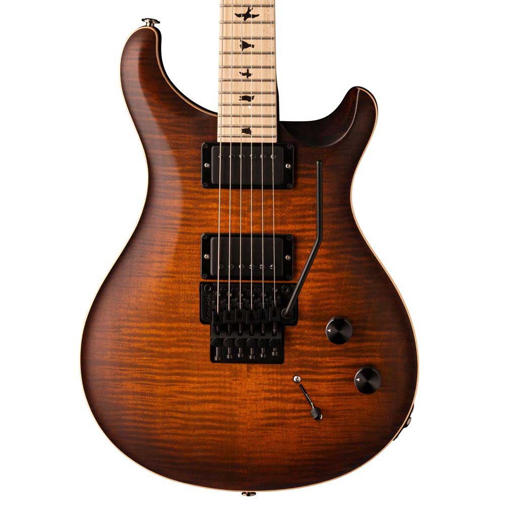 Đàn Guitar Điện PRS Dustie Waring CE24 Floyd w/Bag