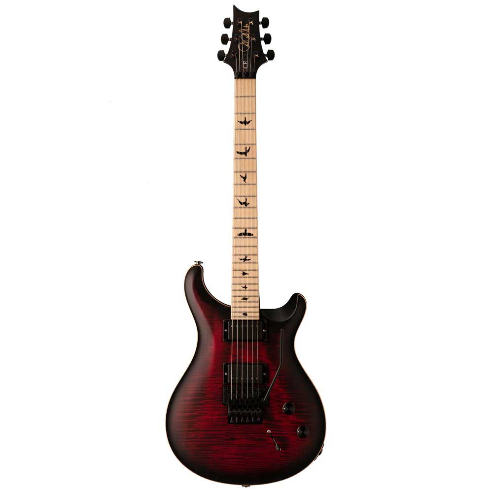 Đàn Guitar Điện PRS Dustie Waring CE24 Floyd w/Bag