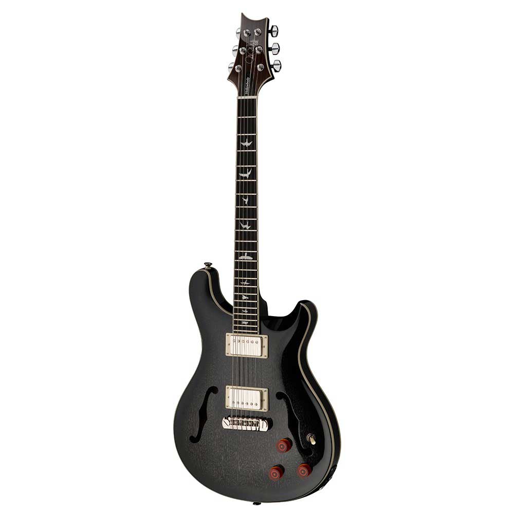 Đàn Guitar Điện PRS SE Hollowbody Standard Piezo w/Case