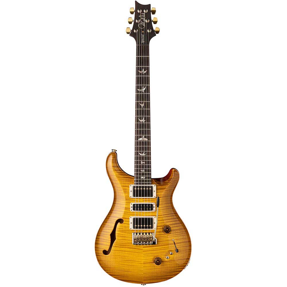 Đàn Guitar Điện PRS Special Semi Hollow 10 Top