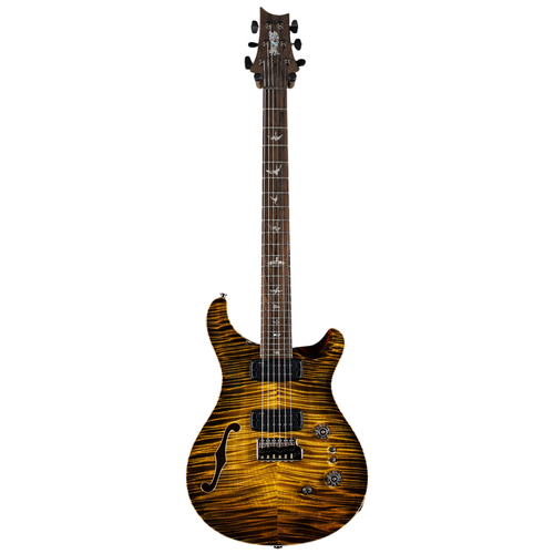Đàn Guitar Điện PRS Custom 24 08 Semi Hollow Wood Library 10 Top Private Stock