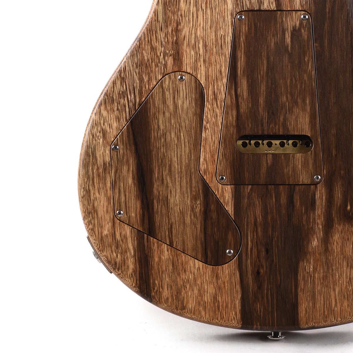 Đàn Guitar Điện PRS DGT Wood Library 10 Top Private Stock, Black Limba Orchid Glow w/Case