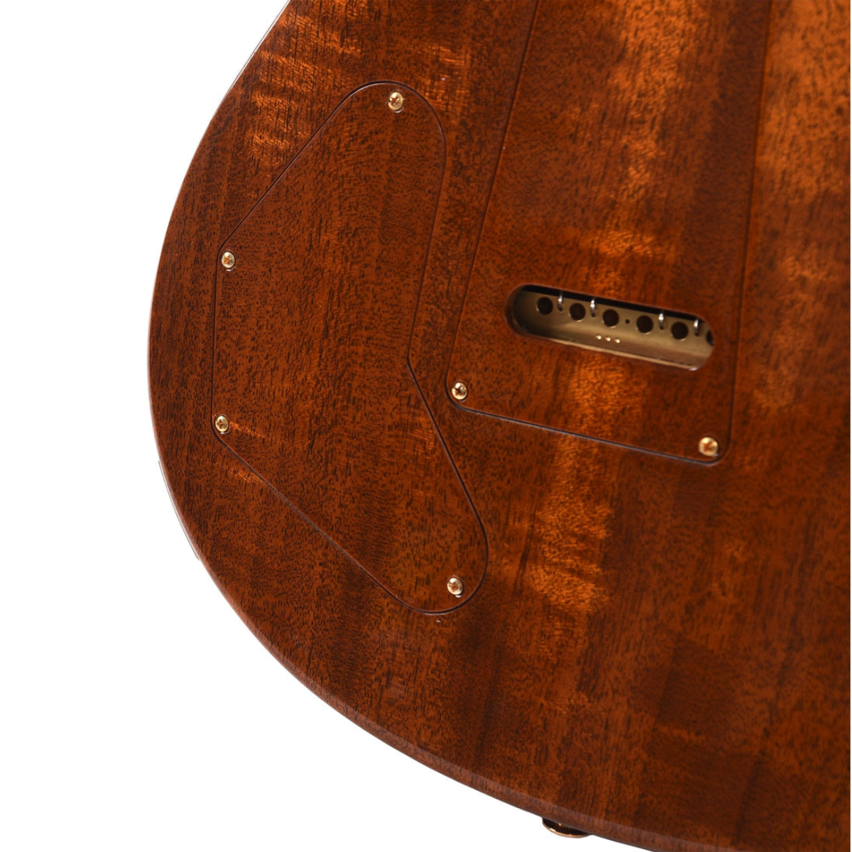 Đàn Guitar Điện PRS DGT Wood Library 10 Top Private Stock, Dragon's Breath w/Case