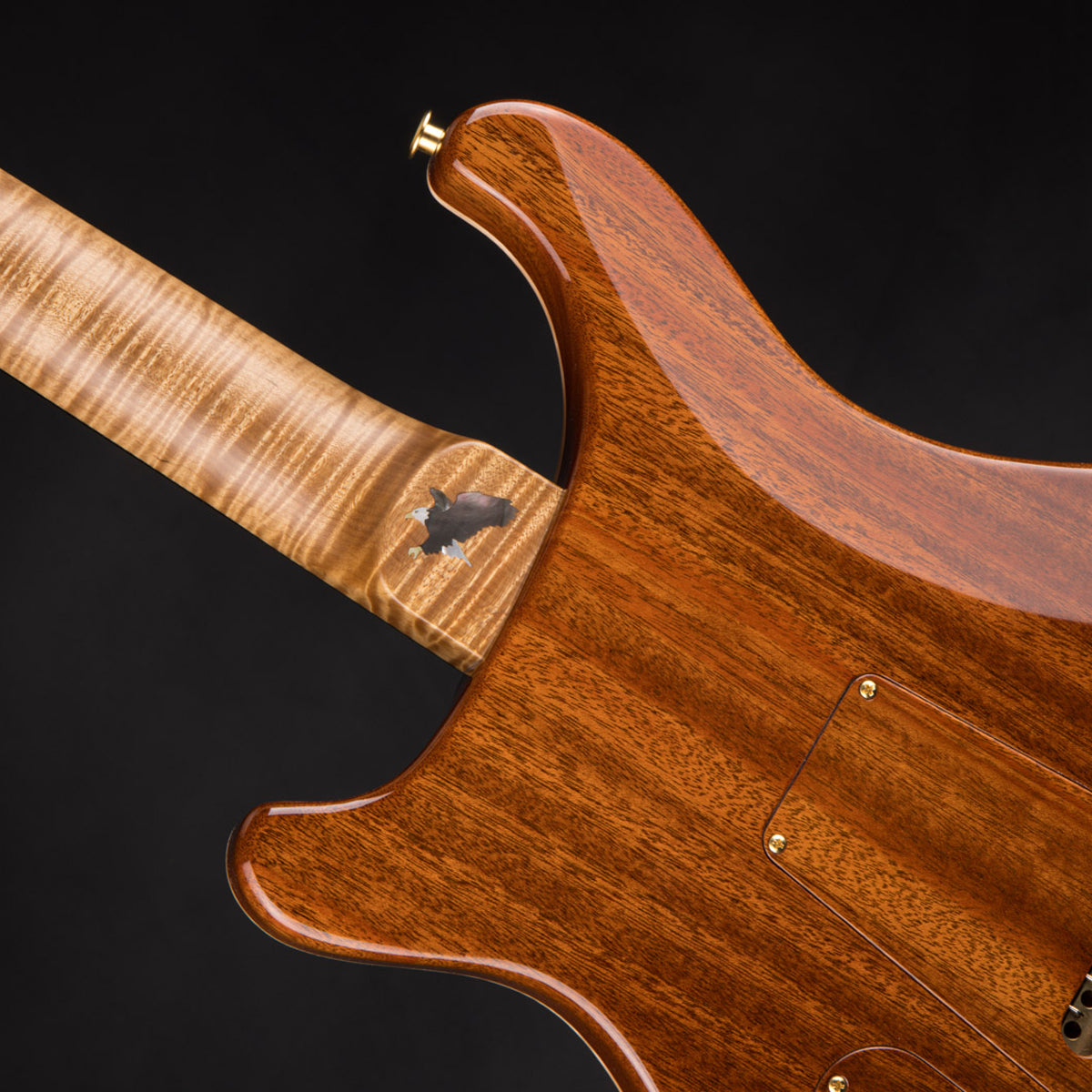 Đàn Guitar Điện PRS DGT Wood Library 10 Top Private Stock, Sandstorm Glow w/Case