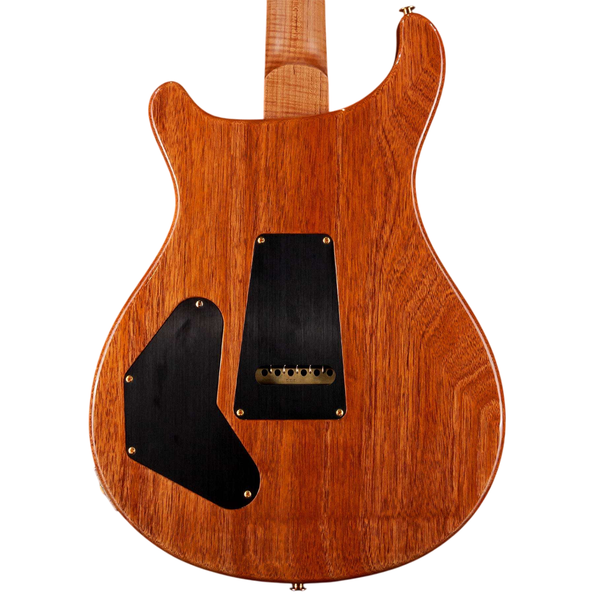 Đàn Guitar Điện PRS DGT Wood Library 10 Top, Board River Blue w/Case