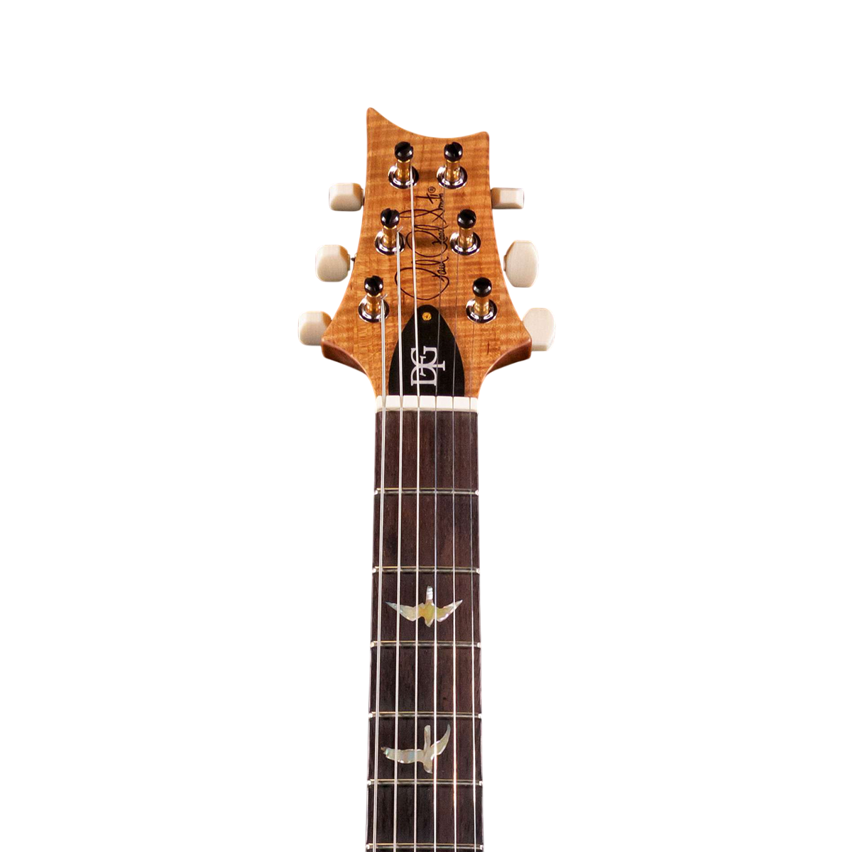 Đàn Guitar Điện PRS DGT Wood Library 10 Top, Board River Blue w/Case