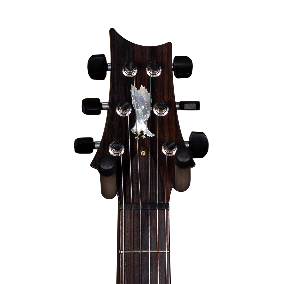 Đàn Guitar Điện PRS DGT Wood Library 10 Top Private Stock, Blue Steel w/Case