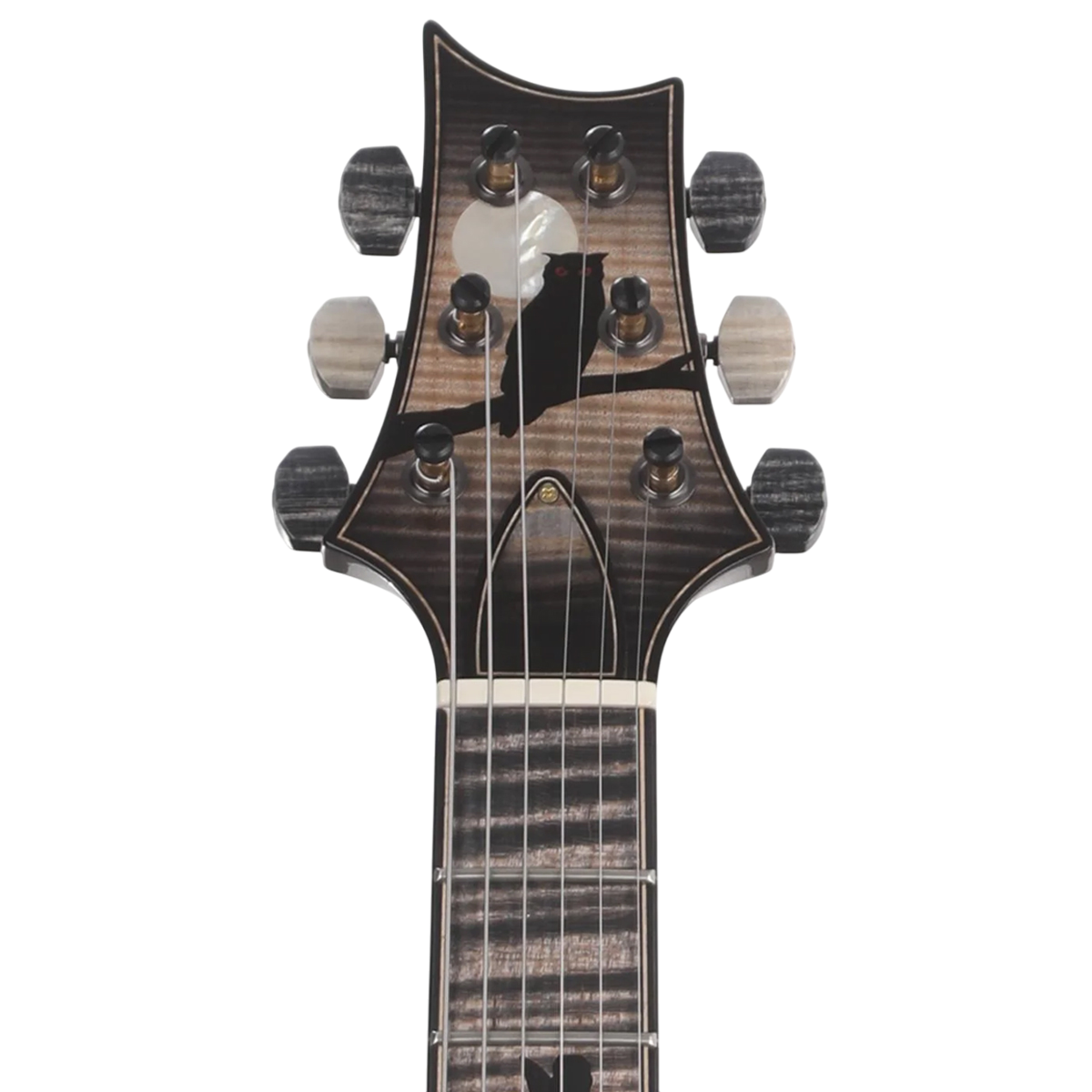 Đàn Guitar Điện PRS McCarty 594 Hollowbody II Wood Library 10 Top Private Stock, Frost Bite Glow w/Case