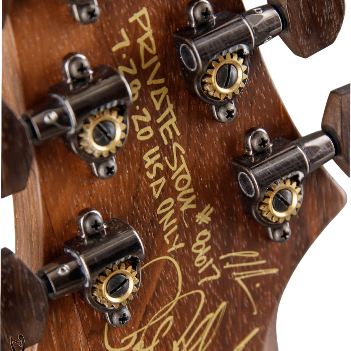 Đàn Guitar Điện PRS Modern Eagle V Wood Library 10 Top Private Stock, Zombie Sky w/Case