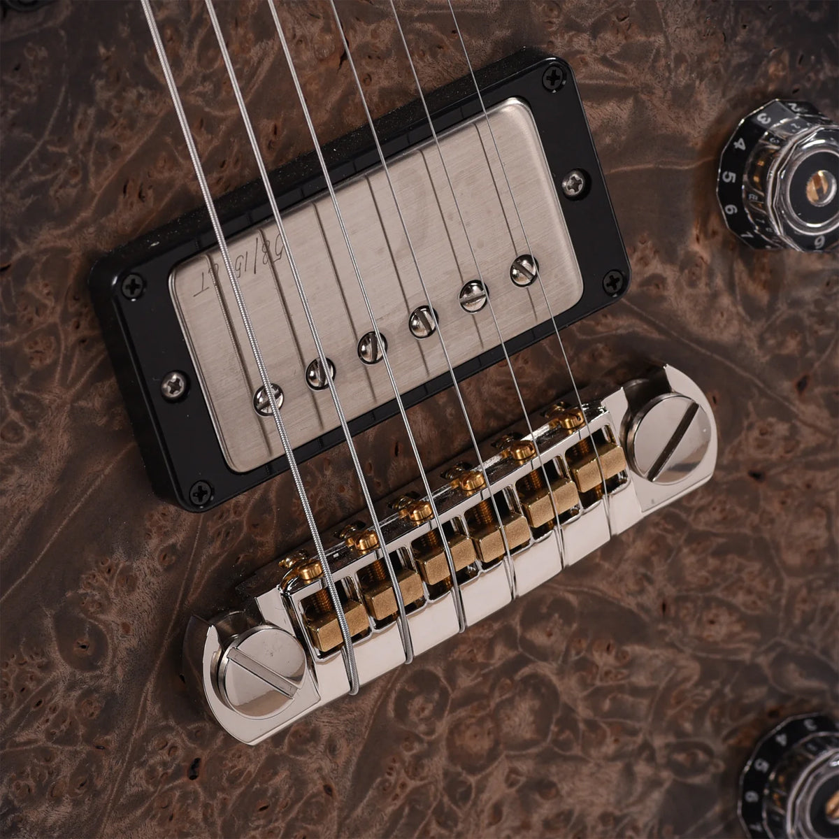 Đàn Guitar Điện PRS Custom 24 Wood Library 10 Top Private Stock, Frost Bite Glow w/Case