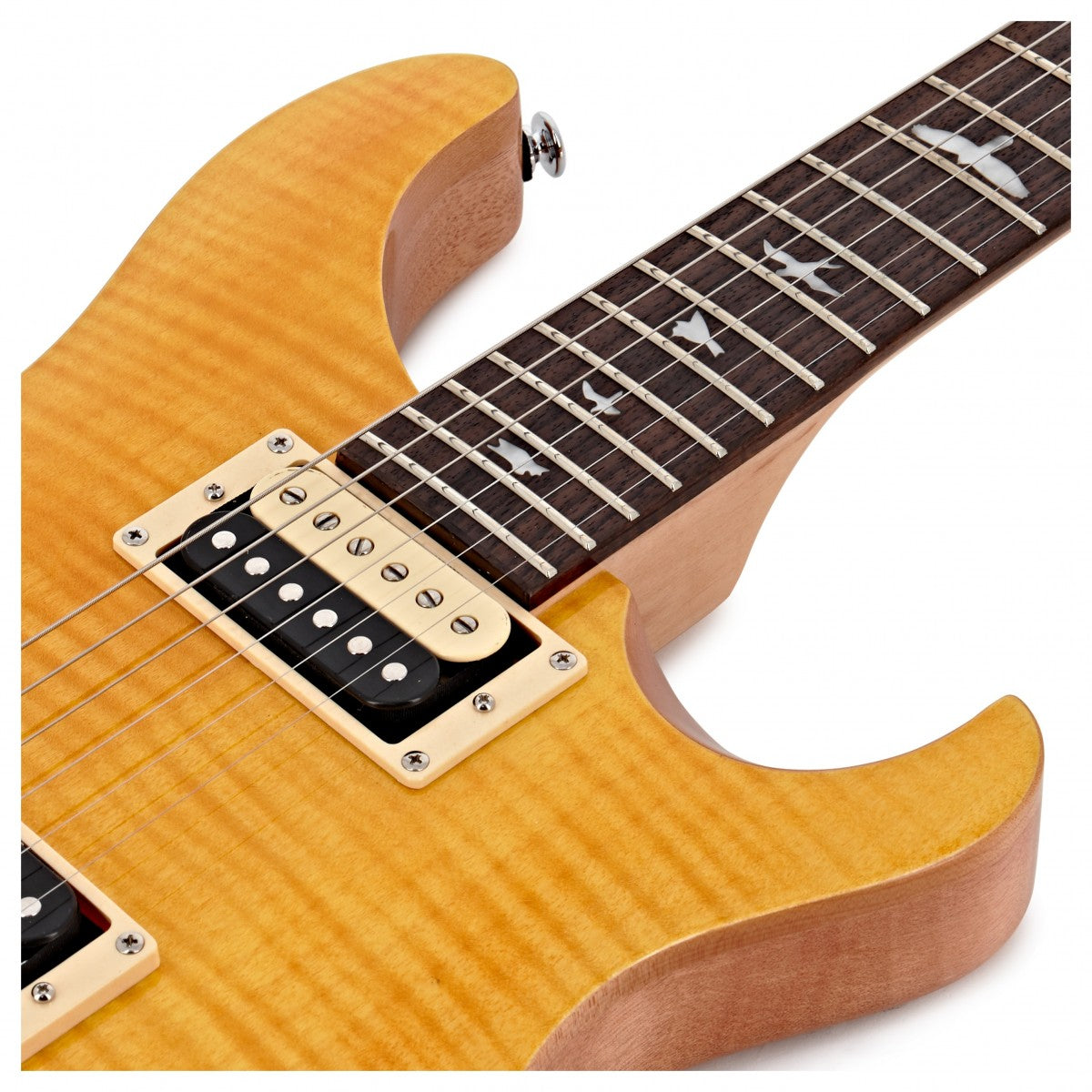 Đàn Guitar Điện PRS SE Custom 22 Semi Hollow w/Bag
