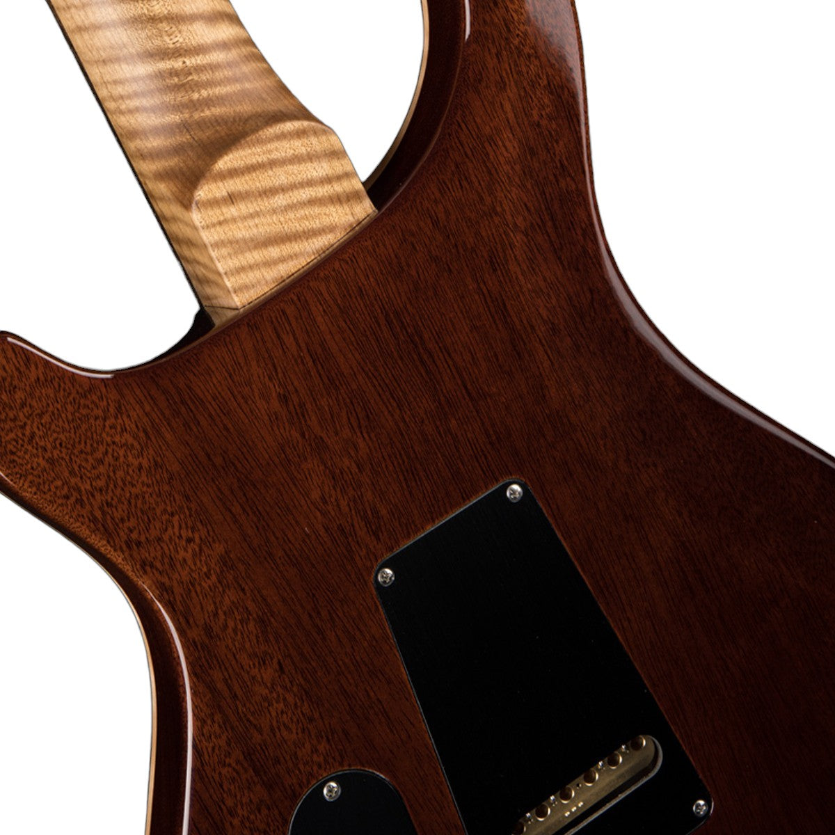 Đàn Guitar Điện PRS Special Semi-Hollow Wood Library 10 Top, Orange Tiger Burst w/Case