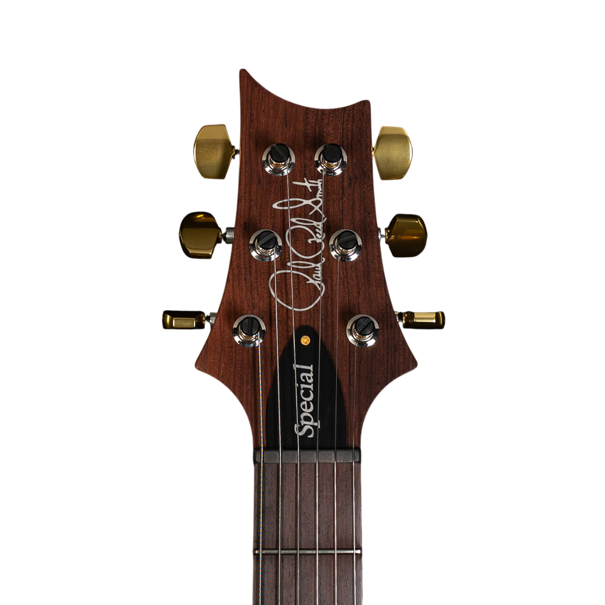 Đàn Guitar Điện PRS Special Semi-Hollow Wood Library 10 Top, Burnt Maple Leaf w/Case