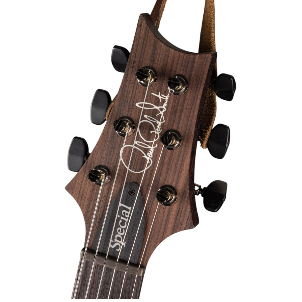 Đàn Guitar Điện PRS Special Semi Hollow Wood Library 10 Top Electric Guitar w/Case, Angry Larry