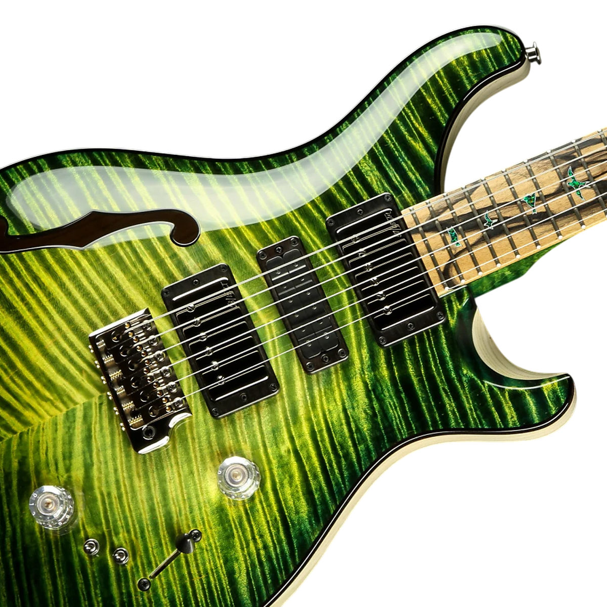 Đàn Guitar Điện PRS Special Semi-Hollow Wood Library 10 Top Private Stock, Rainforest Glow w/Case