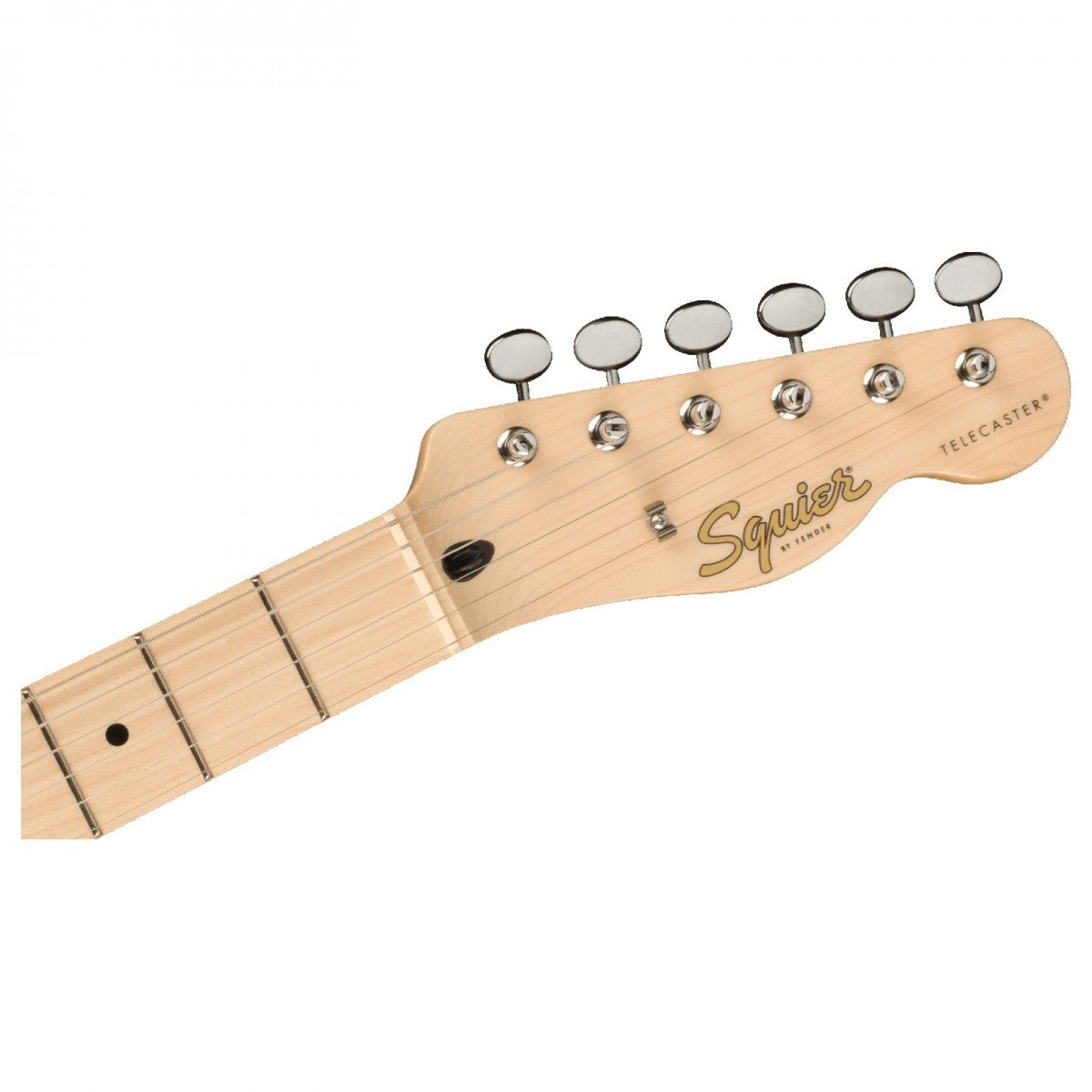 Đàn Guitar Điện Squier Paranormal Cabronita Telecaster Thinline SS, Maple Fingerboard