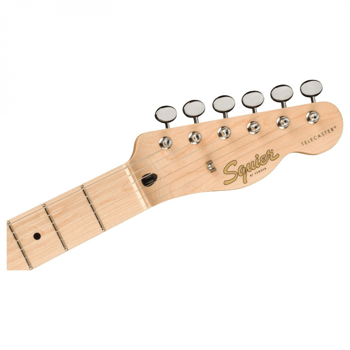Đàn Guitar Điện Squier Paranormal Cabronita Telecaster Thinline SS, Maple Fingerboard