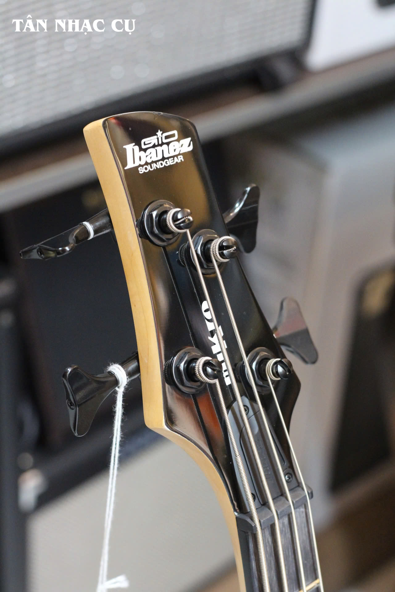 Đàn Guitar Bass Ibanez GSRM20B, Walnut Flat