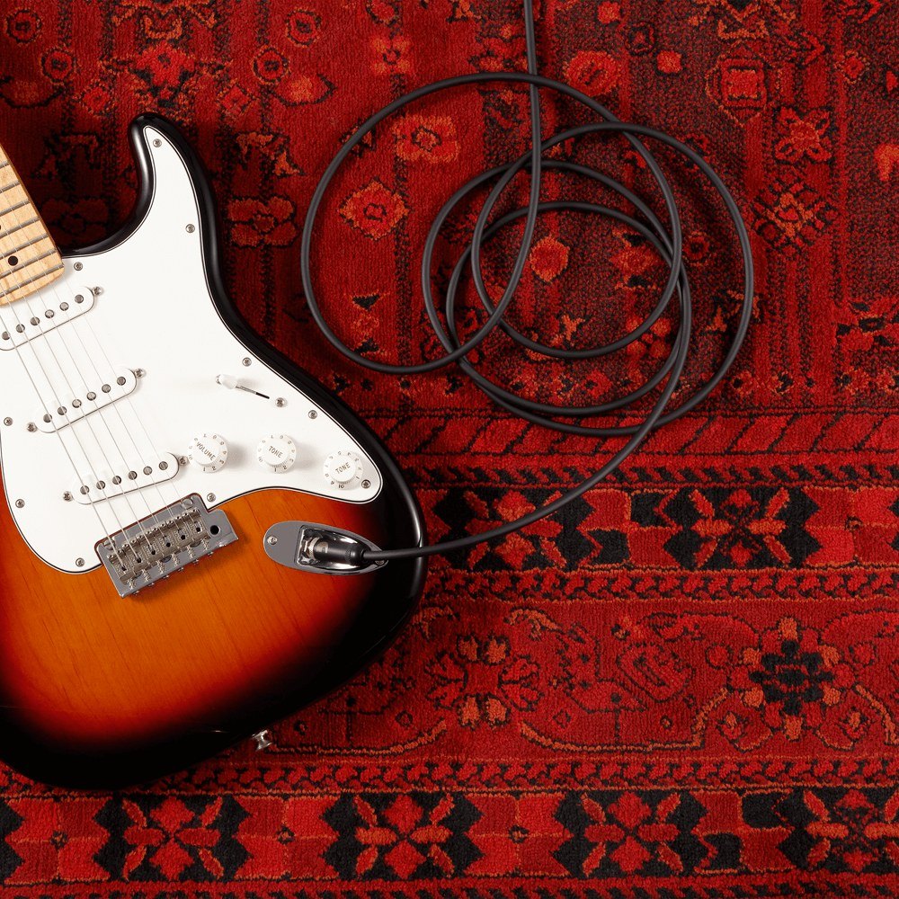 Dây Cáp Guitar D'Addario American Stage PW-AMSG / PW-AMSGRA – ảnh chi tiết 32