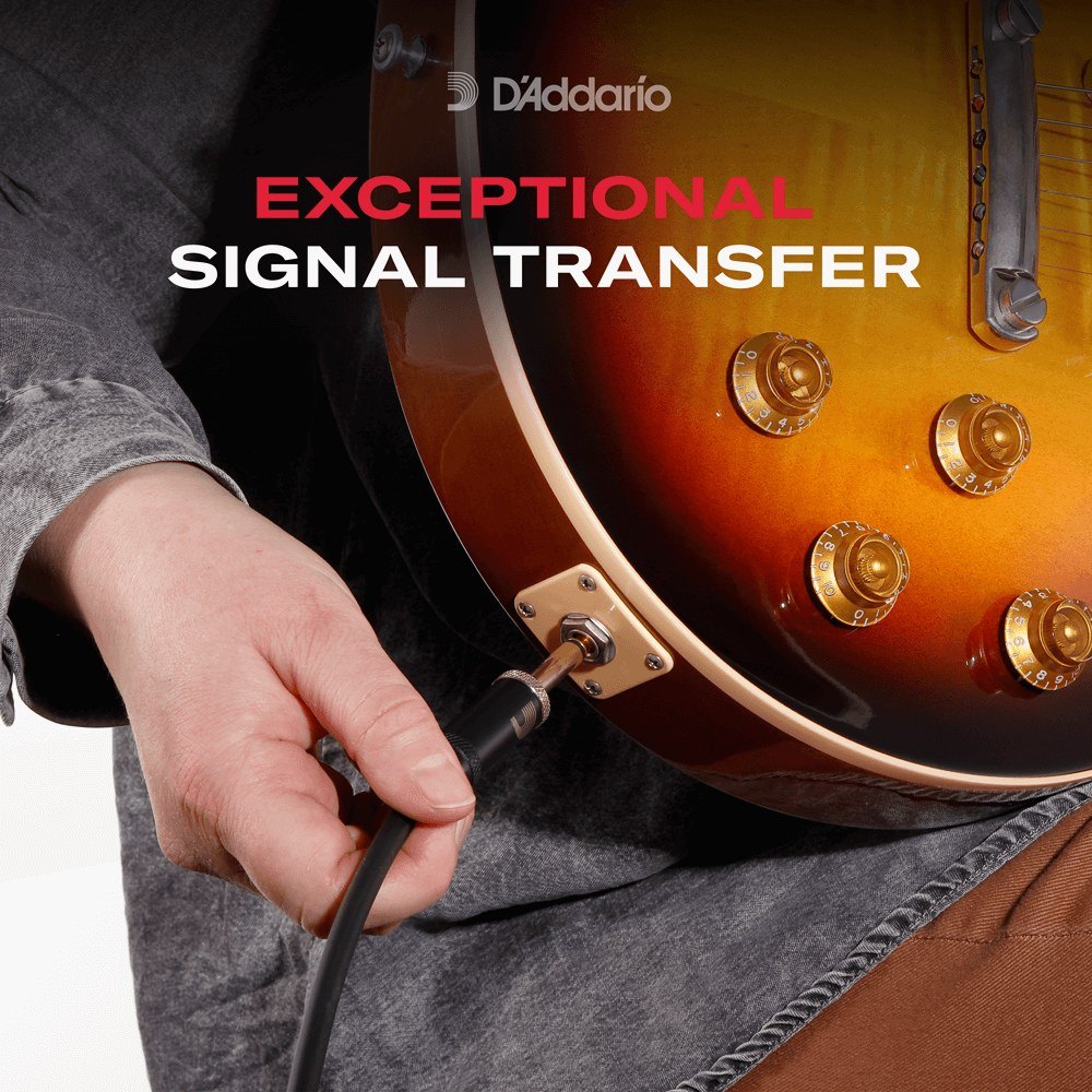 Dây Cáp Guitar D'Addario American Stage PW-AMSG / PW-AMSGRA – ảnh chi tiết 40