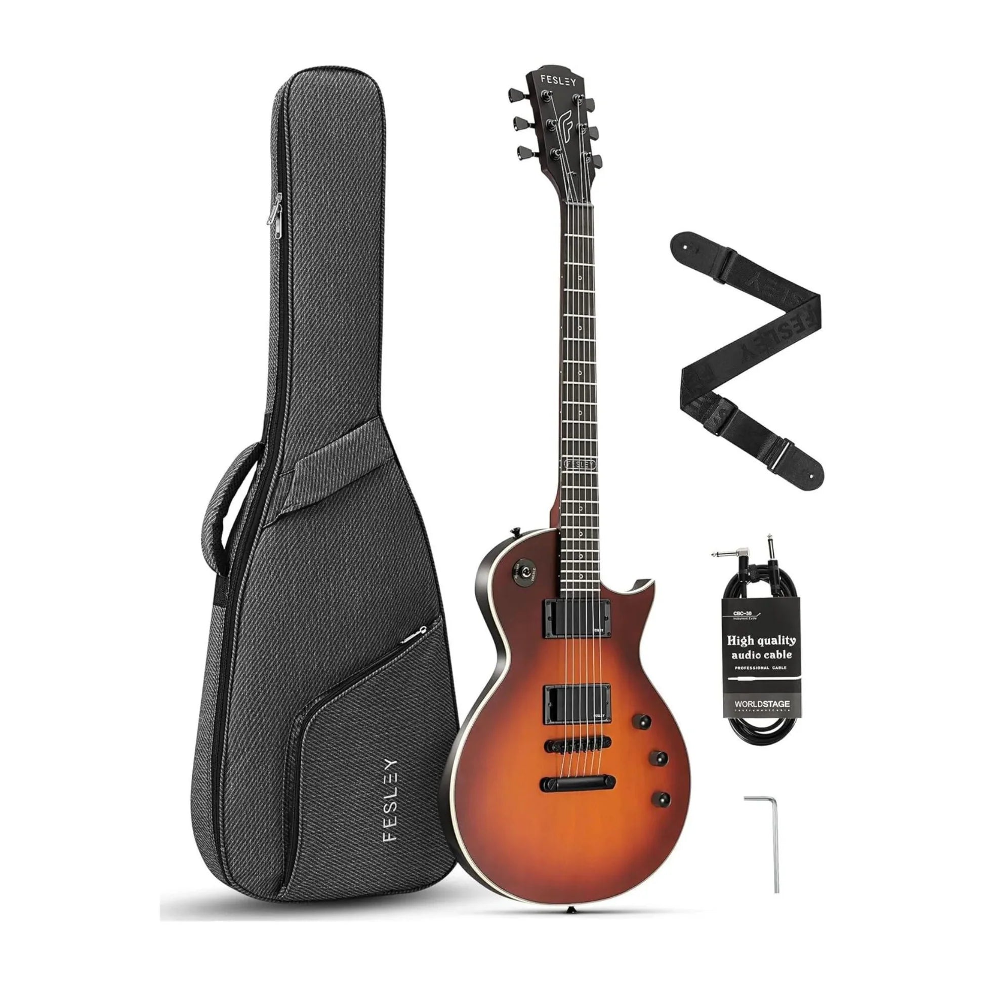 Đàn Guitar Điện Fesley FLP350 HH Techwood Fingerboard