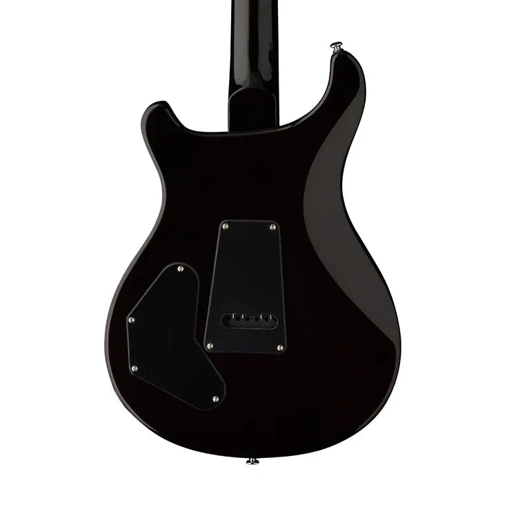 Đàn Guitar Điện PRS SE DGT David Grissom Signature