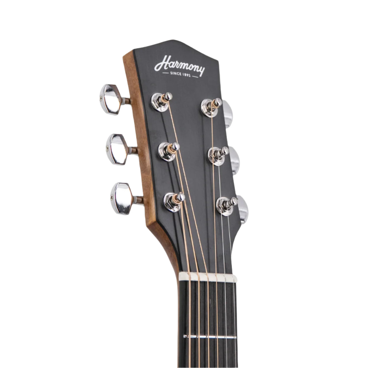 Đàn Guitar Acoustic-Electric Harmony Foundation Series e-Terra ST GA Cutaway, Natural Satin