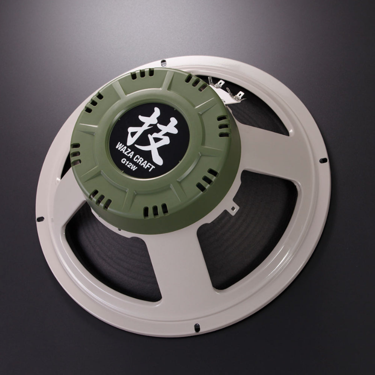 Amplifier BOSS Waza Speaker