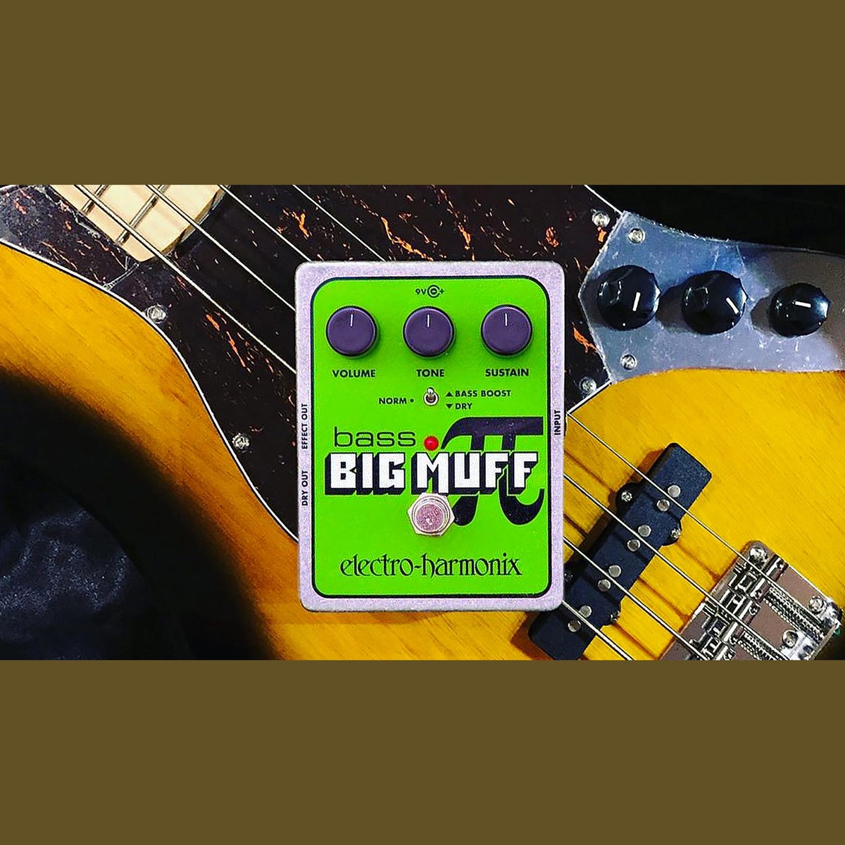 Phơ Fuzz Electro-Harmonix Bass Big Muff Pi – Bass Big Muff Pi đặt trên thân đàn bass