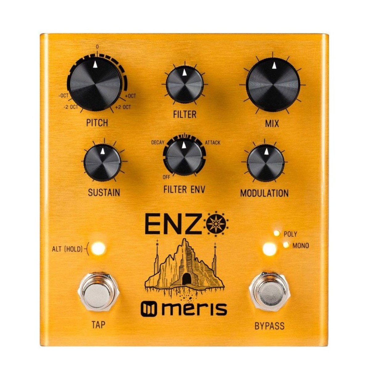 Synth Pedal Guitar Meris Enzo