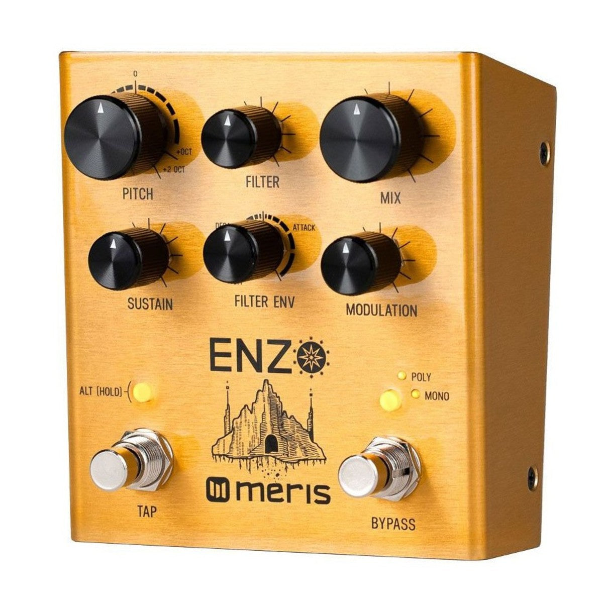Synth Pedal Guitar Meris Enzo