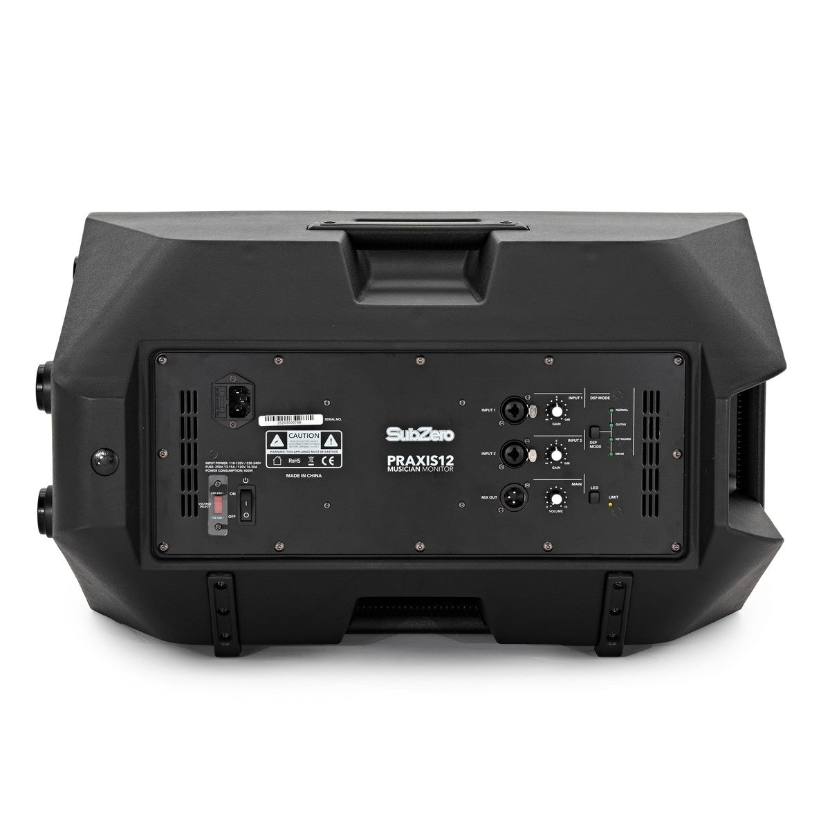 SubZero Praxis12 DSP Musicians Monitor
