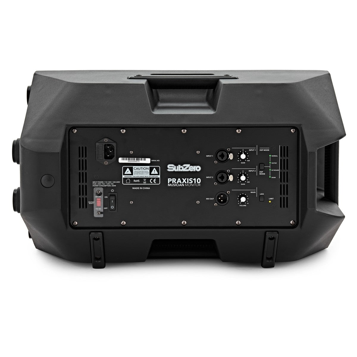 SubZero Praxis10 DSP Musicians Monitor